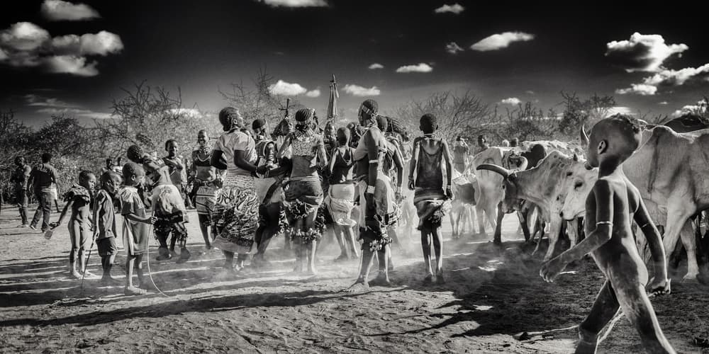 Tribal Dance And Cattle by Piet Flour — canvas wall art