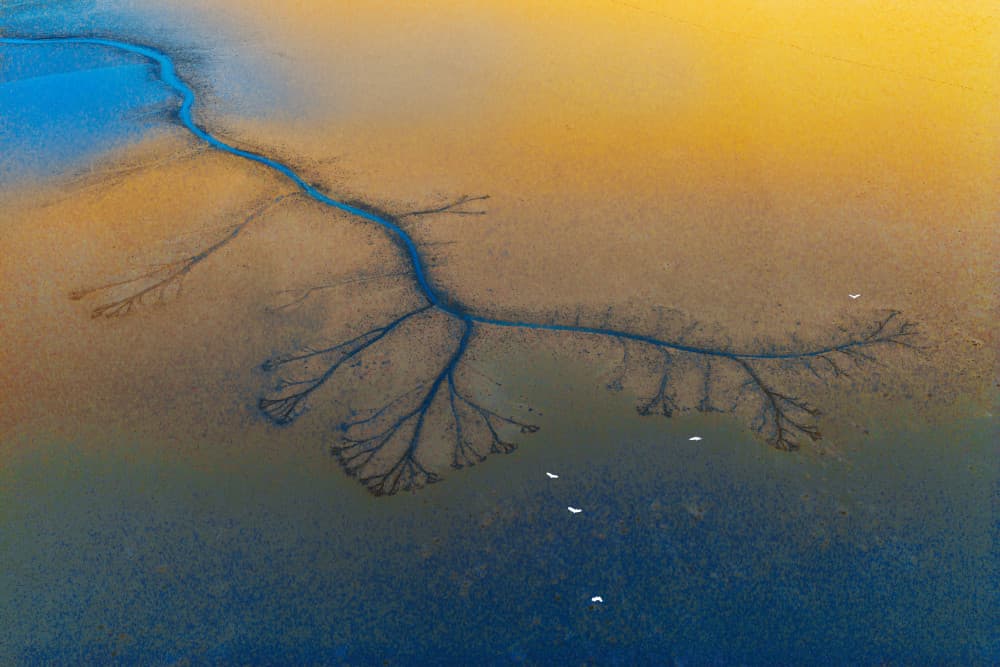 Tidal Estuary Patterns by Bingo Z — canvas wall art