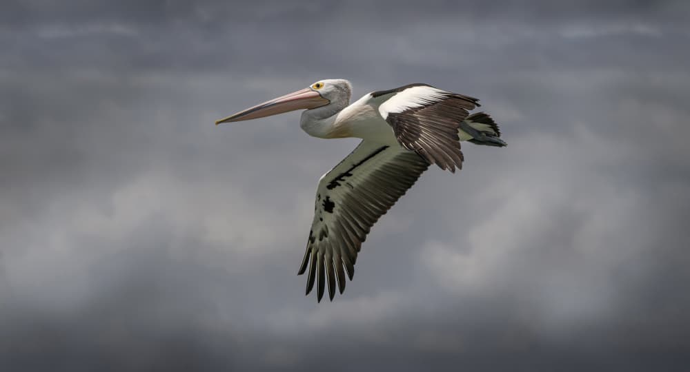 On a mission by Emanuel Papamanolis — canvas wall art