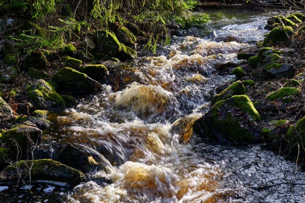 Sunlit Forest Stream by Geertjan Plooijer — canvas wall art