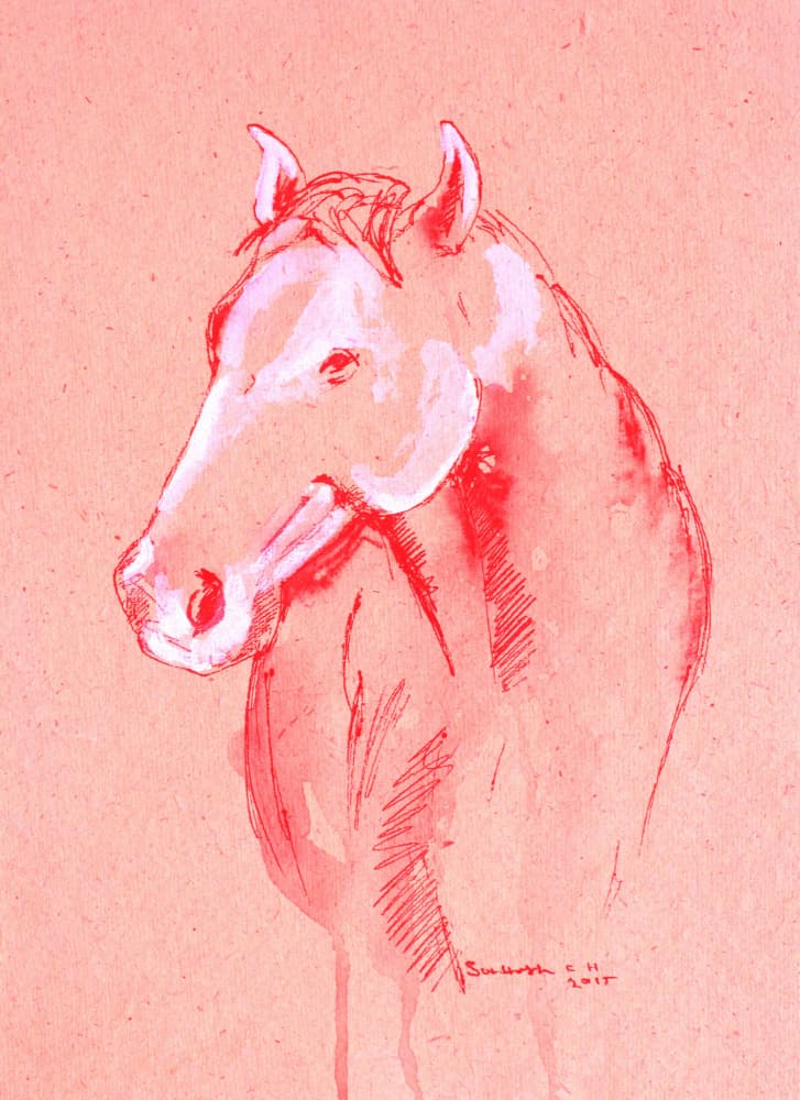 Red Horse Sketch