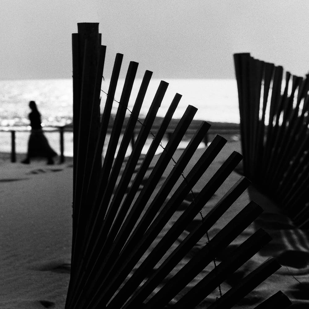 Seaside Fence Silhouette by Paulo Abrantes — canvas wall art