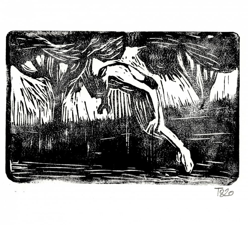 Falling into the Forest by Tore Bahnson — canvas wall art