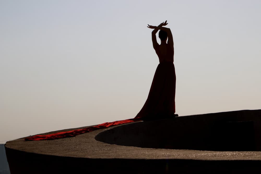 Elegant Red Dress Silhouette by Anna Kogan — canvas wall art