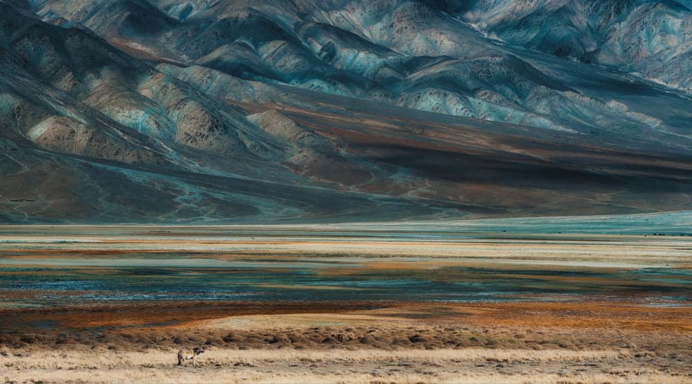 High Desert Vista by swapnil deshpande — canvas wall art