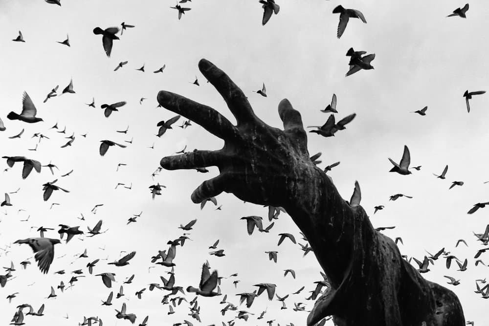 Outstretched Hand Birds by Nazim Tetik — canvas wall art
