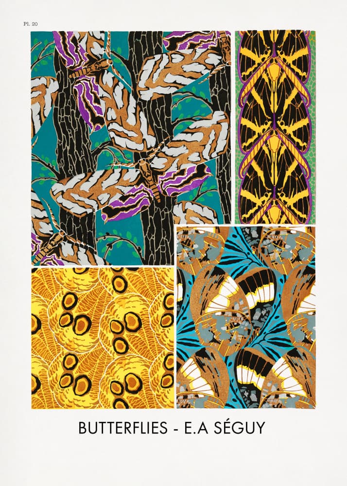 Butterflies 20 by Emile Alain Seguy — canvas wall art