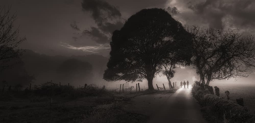Mysterious Foggy Path by Juan I. Cuadrado — canvas wall art