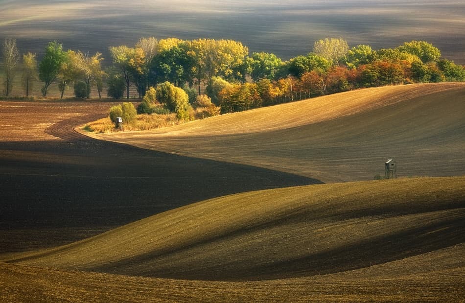 Autumn Rolling Fields by Krzysztof Browko — canvas wall art