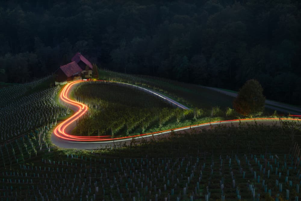 Winding Vineyard Heart Road by Jianping Yang — canvas wall art