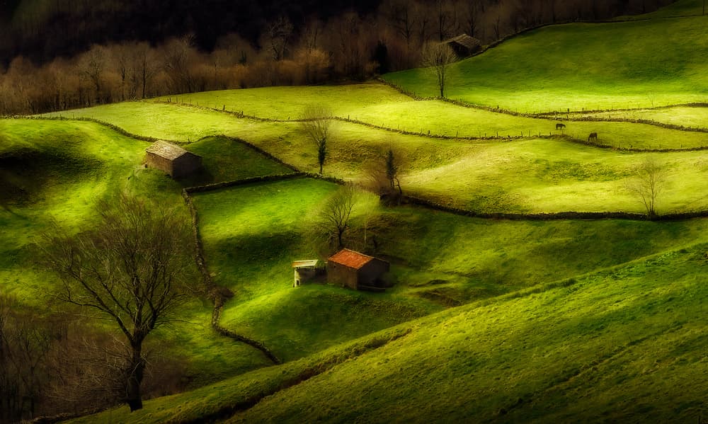 Rolling Green Pastures by Fran Osuna — canvas wall art