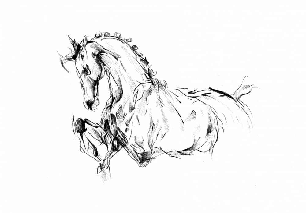 Dynamic Horse Sketch by Kulik — canvas wall art