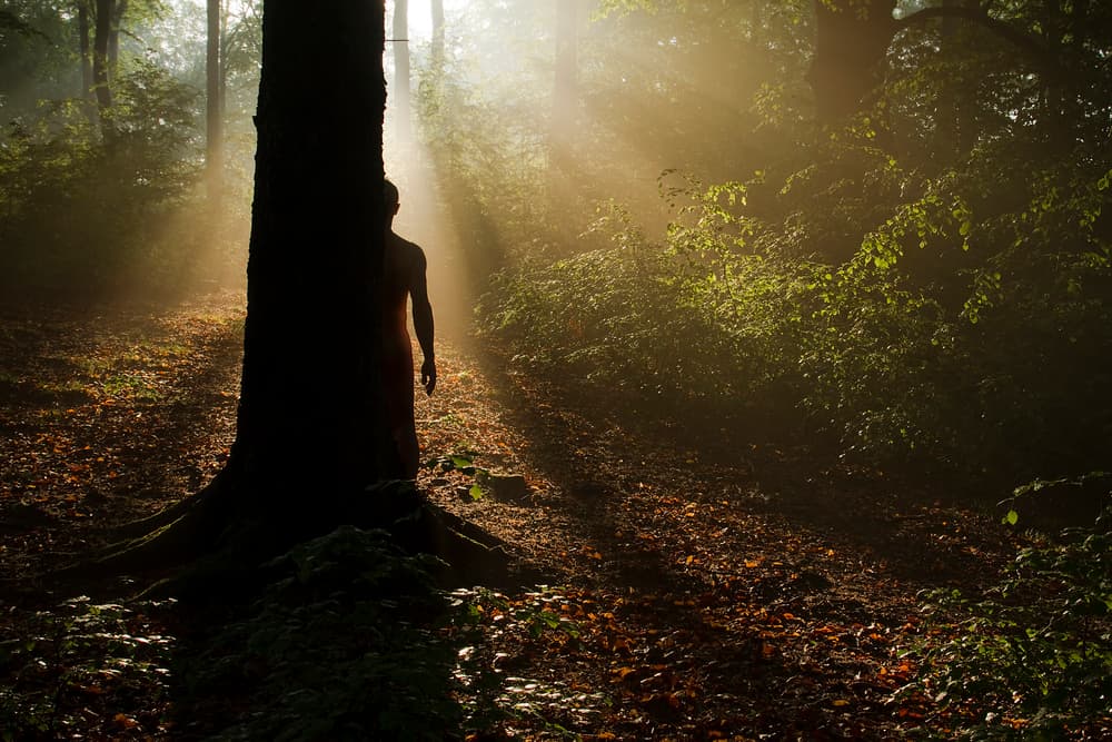 Misty Forest Silhouette by Leszek Paradowski — canvas wall art