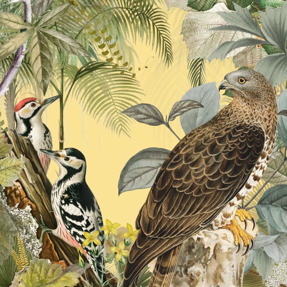 Tropical Jungle Birds by Marja van den Hurk — canvas wall art