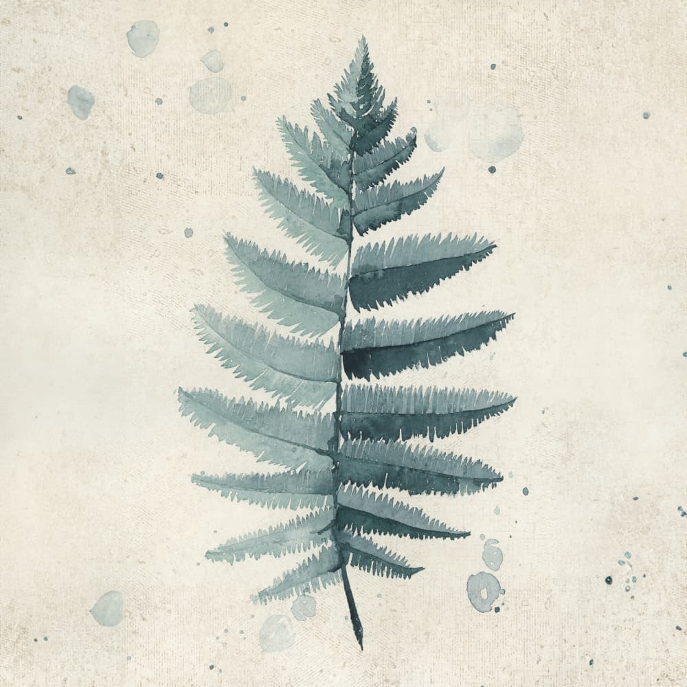 Delicate Watercolor Fern by Rosana Laiz Blursbyai — canvas wall art