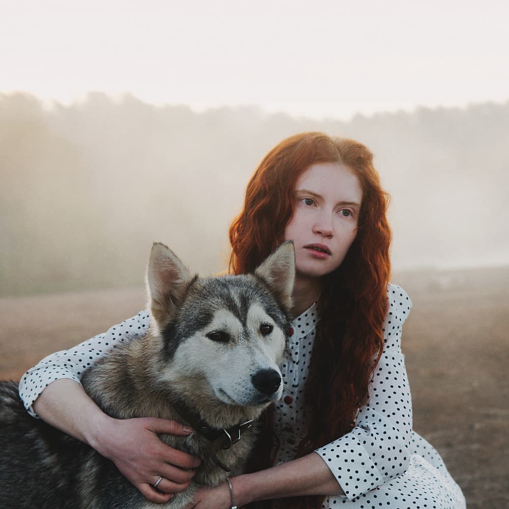 Misty Husky Embrace by Ksenia Sinyavina — canvas wall art
