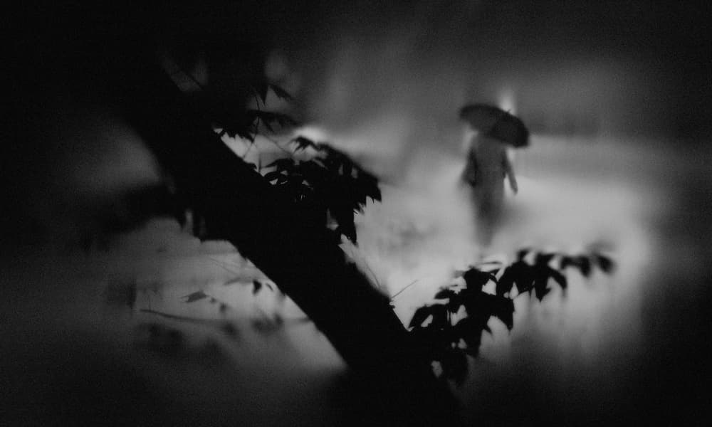 Misty Path Umbrella by Teruhiko Tsuchida — canvas wall art