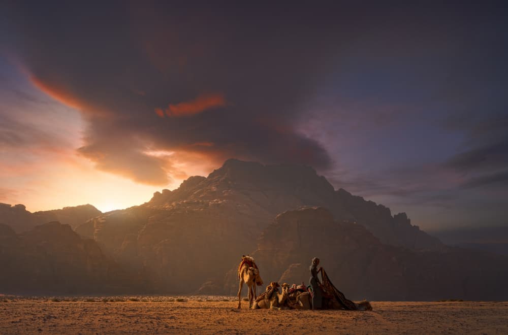 Desert Sunset Camels by joanaduenas — canvas wall art