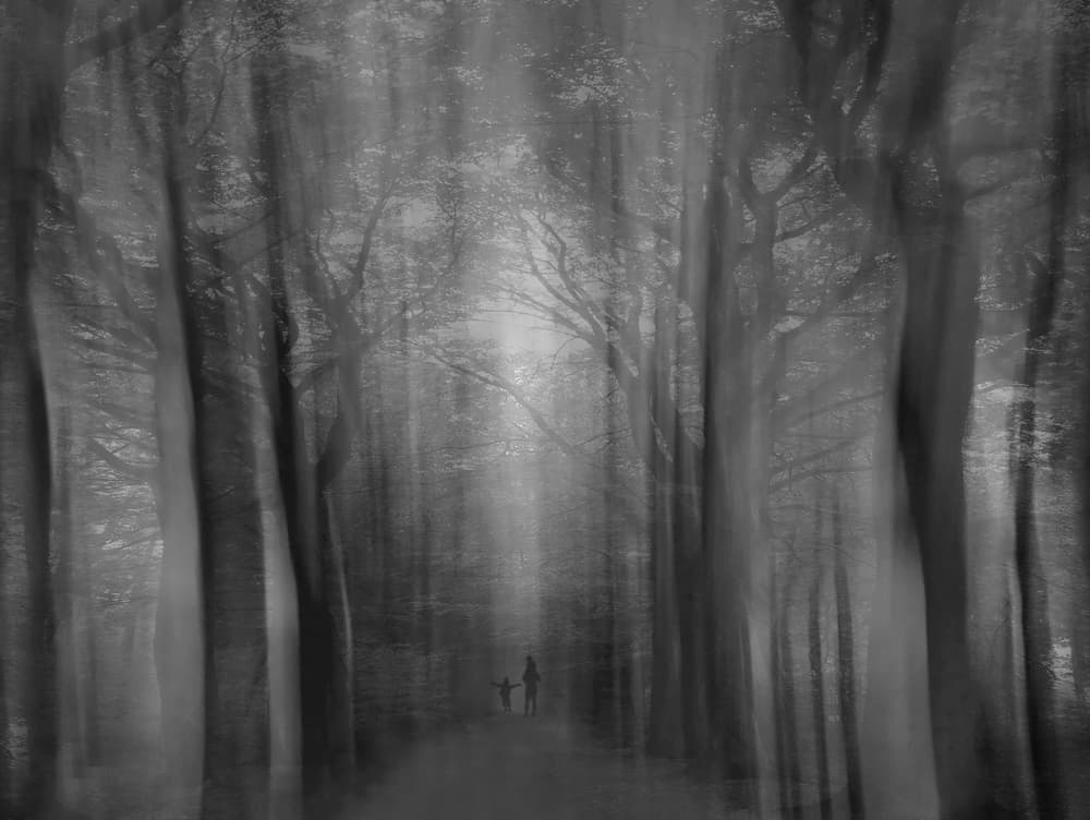 Dreamy Forest Walk by Yvette Depaepe — canvas wall art