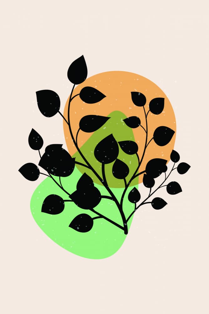 Organic Plant Shapes by jay stanley — canvas wall art