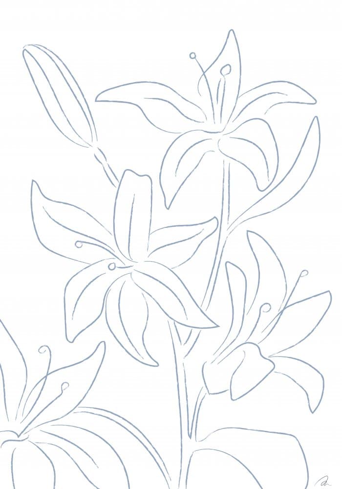 Elegant Lily Lines by Pictufy Studio II — canvas wall art