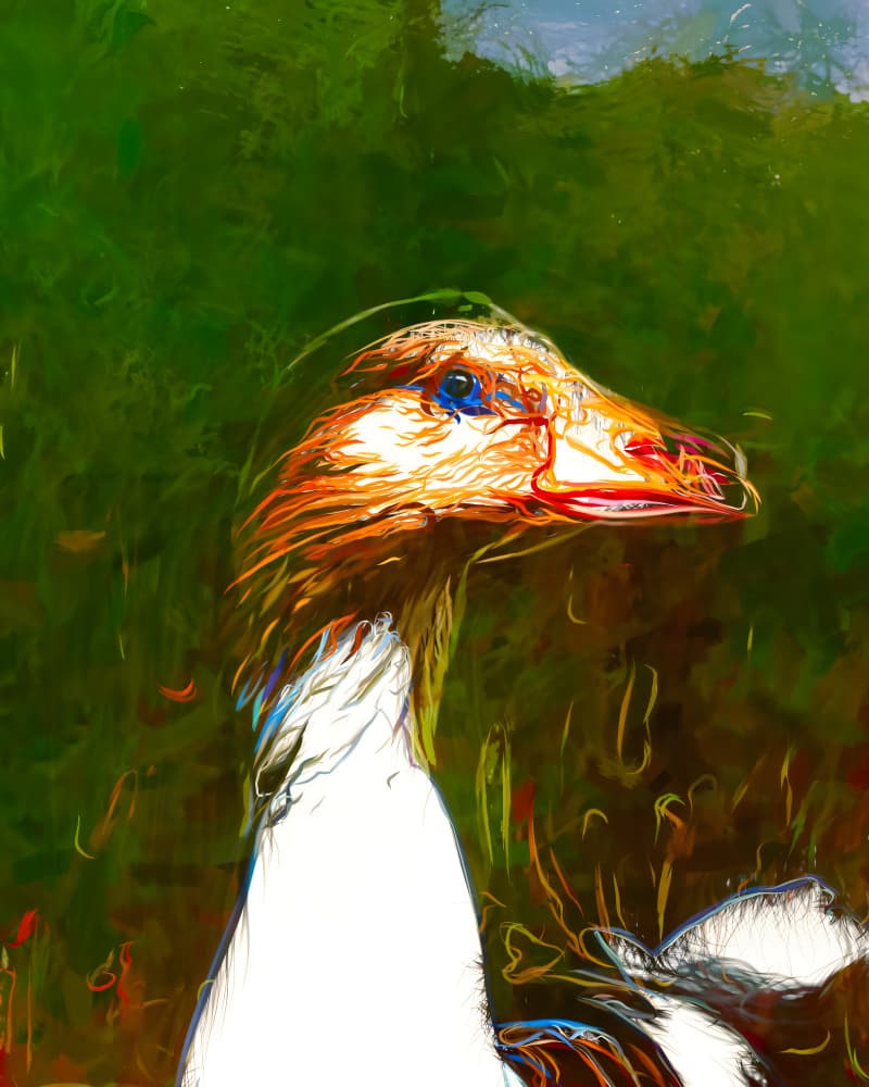 Vibrant Goose Portrait by Uma Gokhale — canvas wall art