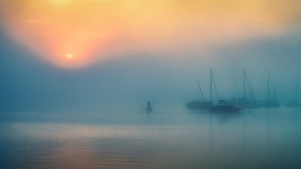Golden Foggy Morning by Ulrike Eisenmann — canvas wall art