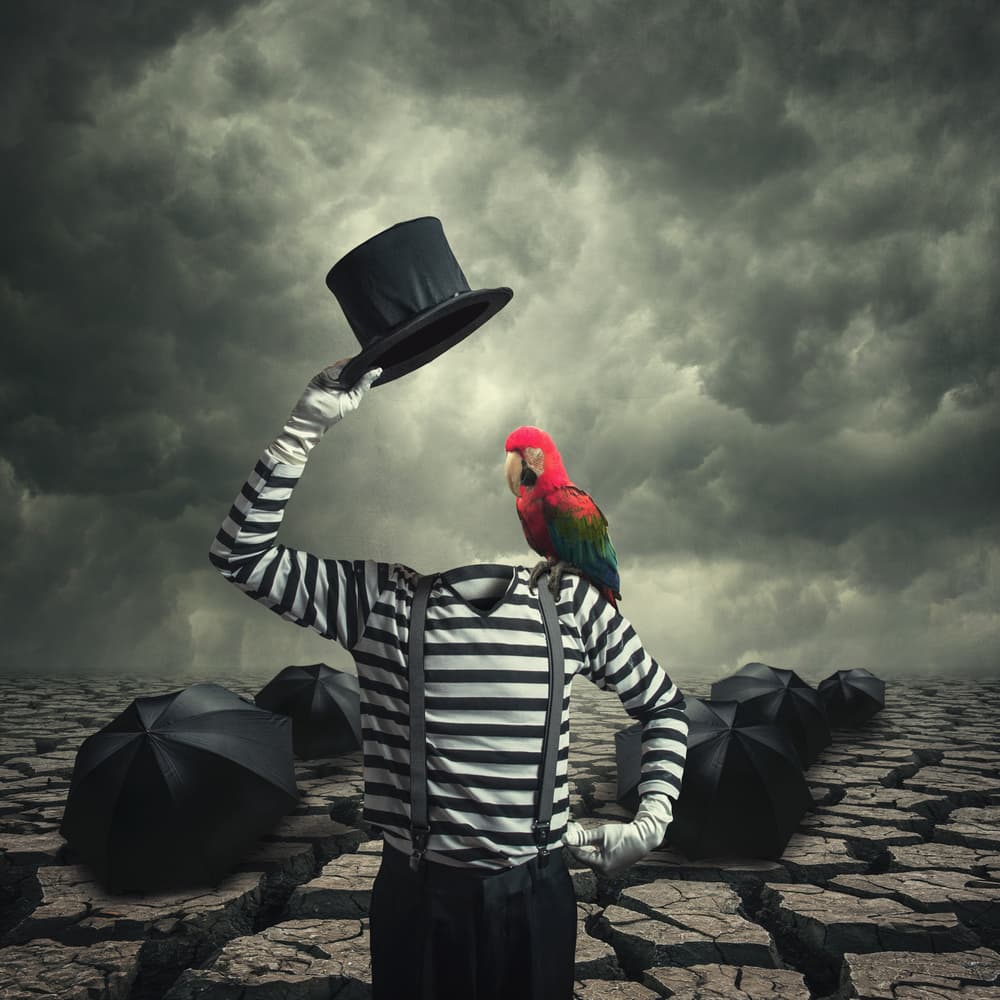 Surreal Mime With Parrot by hardibudi — canvas wall art