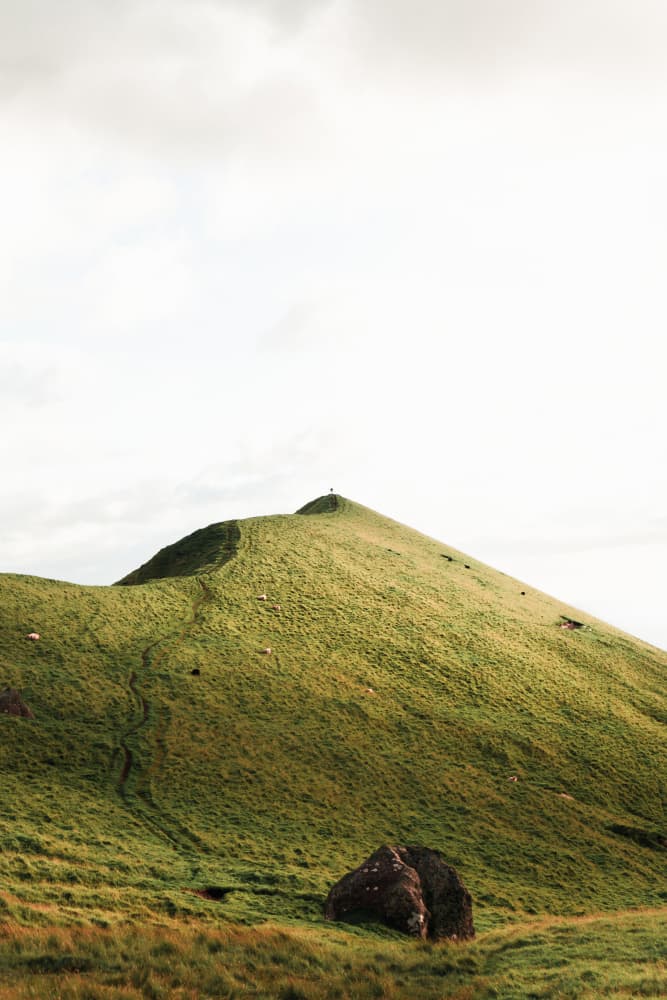 Uphill Mountain Path by Theodor Gerhamn — canvas wall art