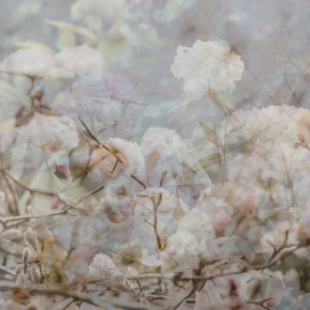 Soft Floral Layers by Pelin Atilla — canvas wall art