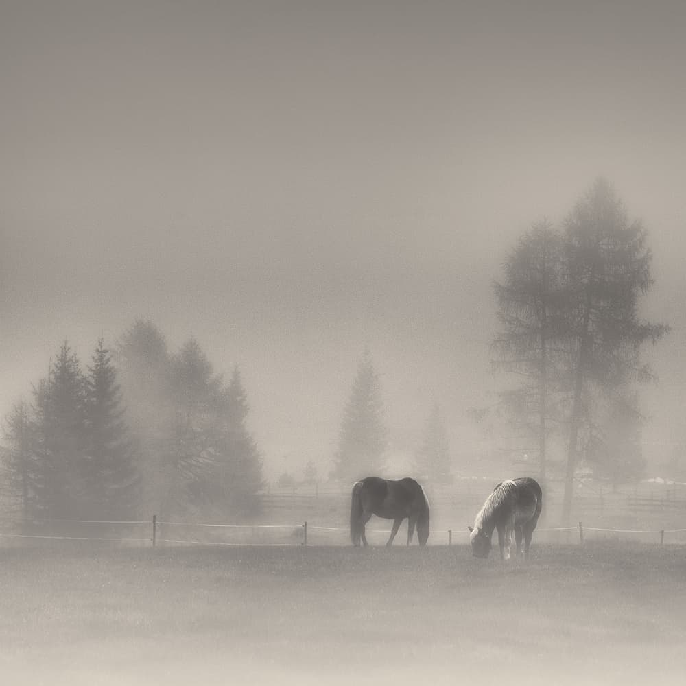 timeless moments by swapnil deshpande — canvas wall art