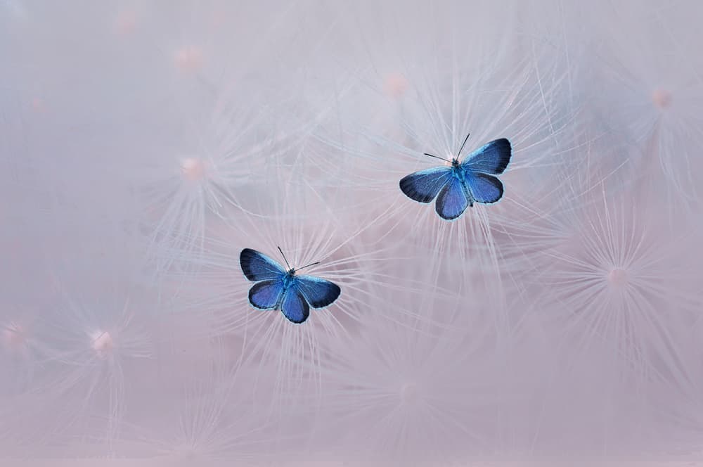 With You by Edy Pamungkas — canvas wall art