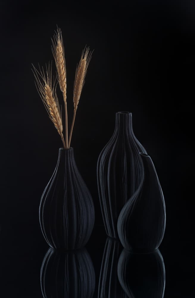 Elegant Dark Still Life by Alice Sheng — canvas wall art