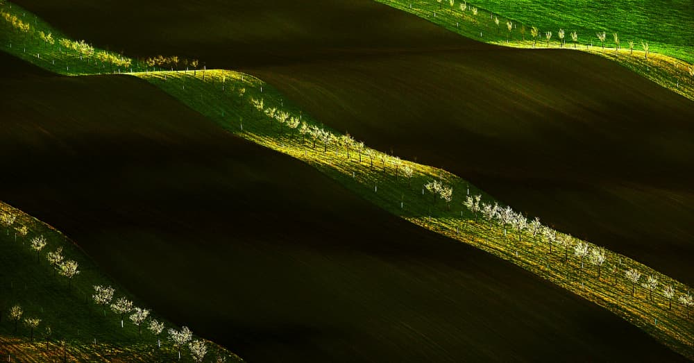 Springtime Rolling Hills by Milan Uhrin AFIAP AZSF — canvas wall art