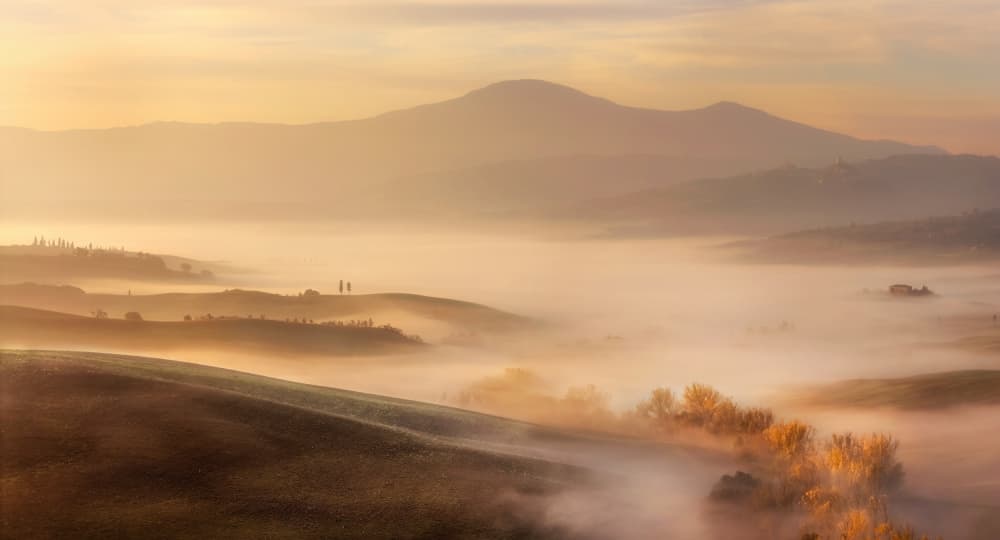Golden Morning Fog by Chong Q. Wu — canvas wall art