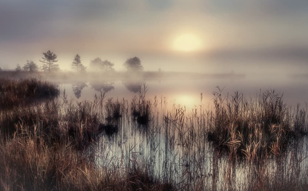Misty Lake Sunrise by Ulrike Eisenmann — canvas wall art