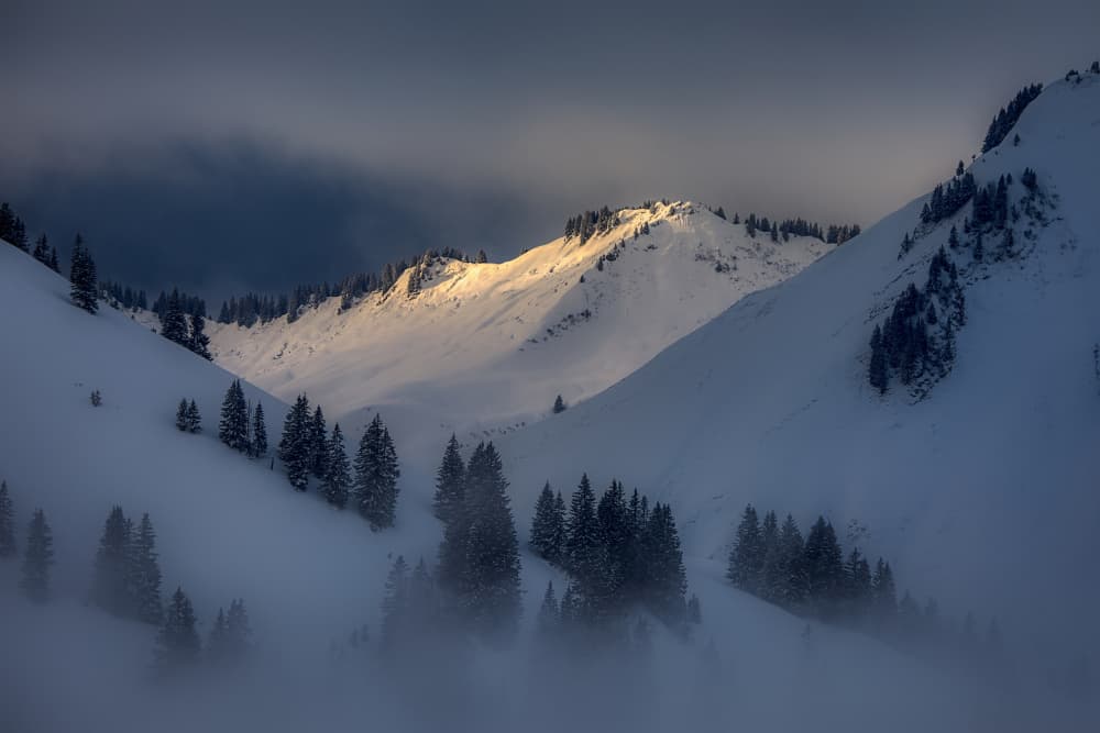 Golden Mountain Glow by Judith Kuhn — canvas wall art