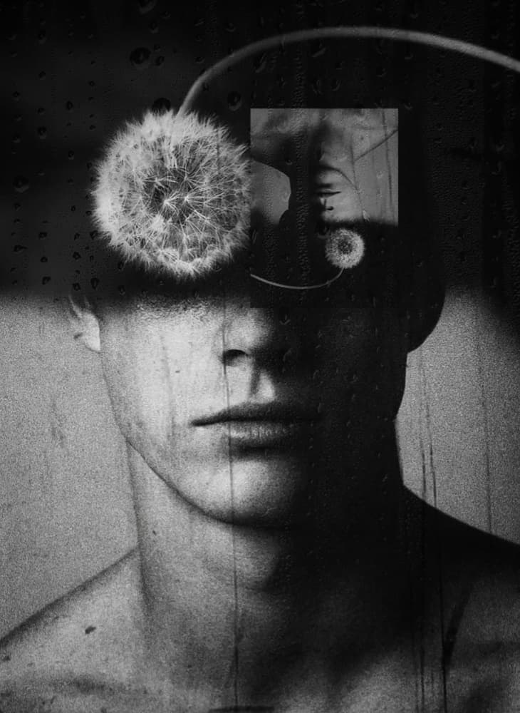 Reflective Dandelion Man by Ingrida Urbonavičienė — canvas wall art