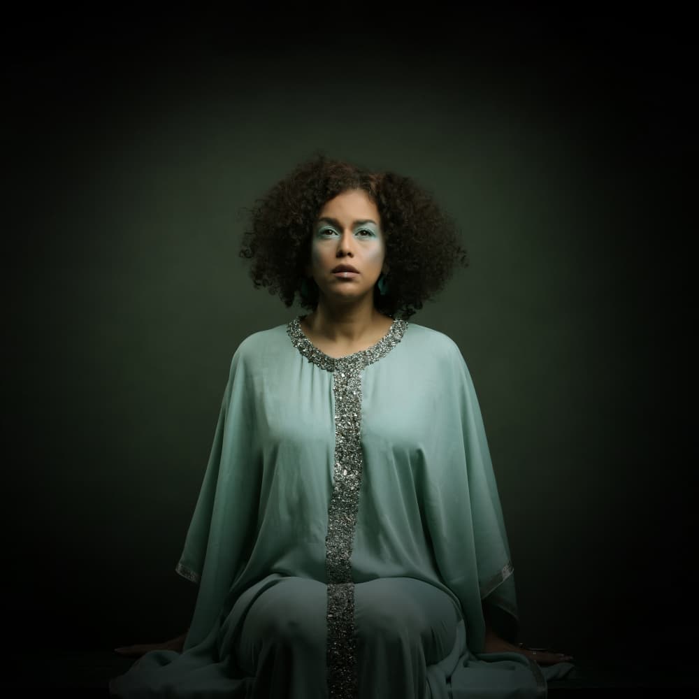 Regal Woman In Teal by Moein Hasheminasab — canvas wall art