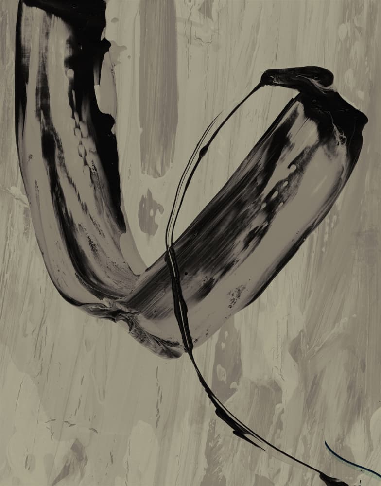 Abstract Grey Gesture by Edward Selkirk — canvas wall art