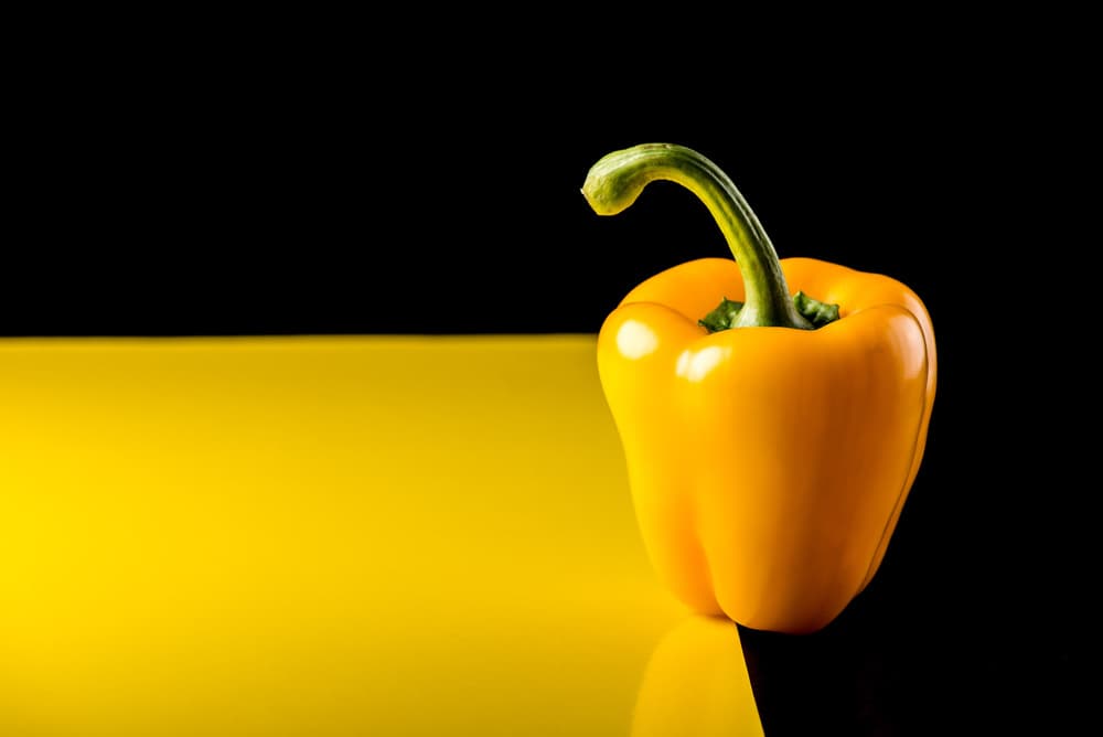 Vibrant Yellow Bell Pepper by Marius Miclea — canvas wall art