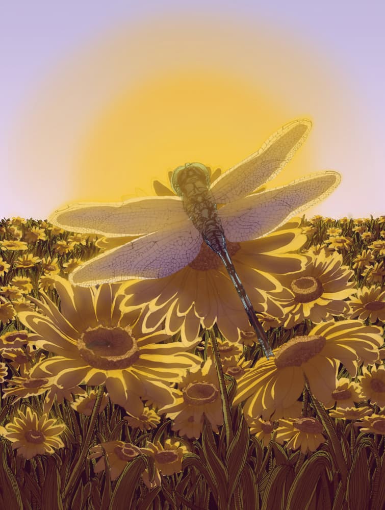Golden Dragonfly Bloom by EC Mazur — canvas wall art