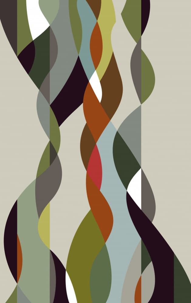 Modern Organic Curves by Rafa Mateo — canvas wall art