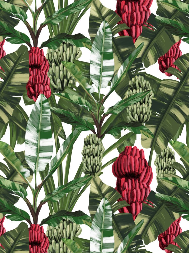 Untitled by Anis Illustration — canvas wall art