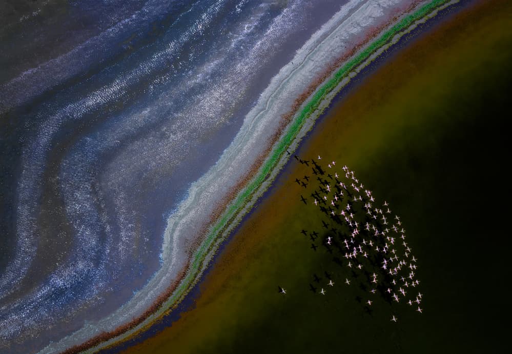Flamingos Over Colorful Lake by Leah Xu — canvas wall art