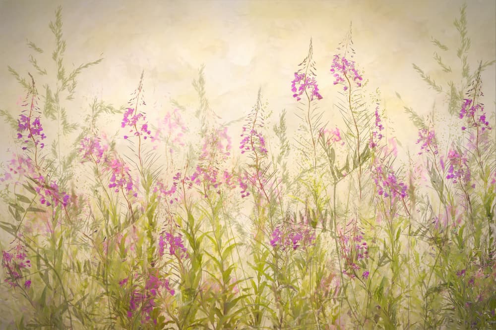 Summerfeeling by Nel Talen — canvas wall art