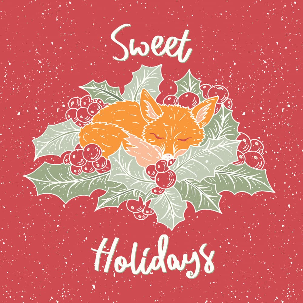 Sweet Sleeping Fox Holidays by Olena Kovalova — canvas wall art