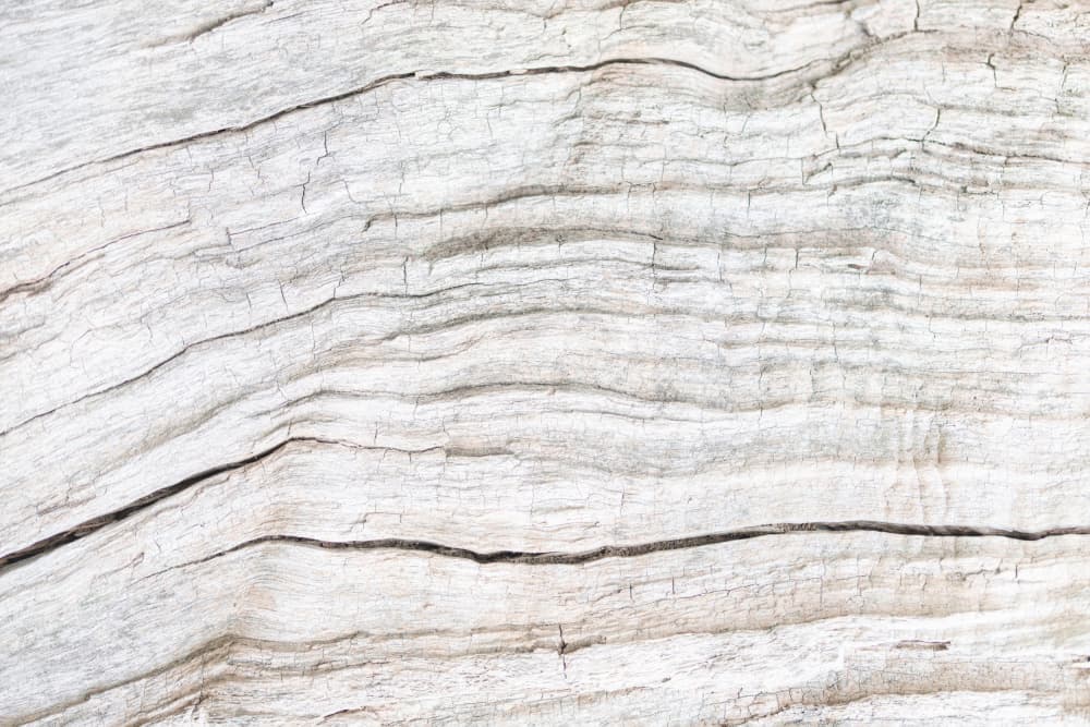 Rustic White Wood Texture by Pictufy Studio III — canvas wall art