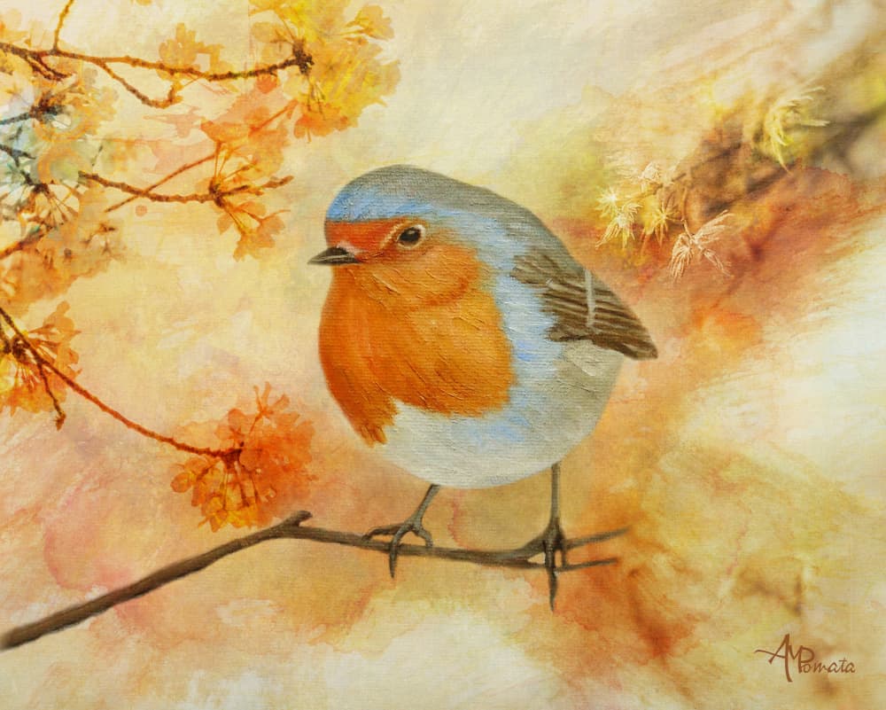 Charming Spring Robin by Angeles M. Pomata — canvas wall art