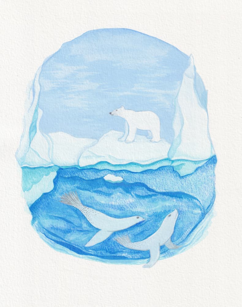 Arctic Bear and Seals